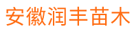 安徽寿县润丰苗木种植有限公司